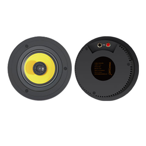 5.25寸吸顶扬声器 YZ265